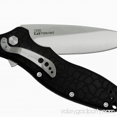 Kershaw Oso Sweet (1830) Folding Pocketknife with Satin-Finished 3.1-Inch 8Cr13MoV Stainless Steel Blade, Glass-Filled Nylon Handle, SpeedSafe Assisted Open, Liner Lock, Reversible Pocketclip; 3.2 OZ. 553633633